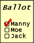 Ballot icon