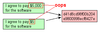 [Breaking digital signatures]