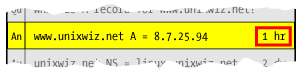 subset of packet showing A record TTL