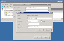 Add DHCP option