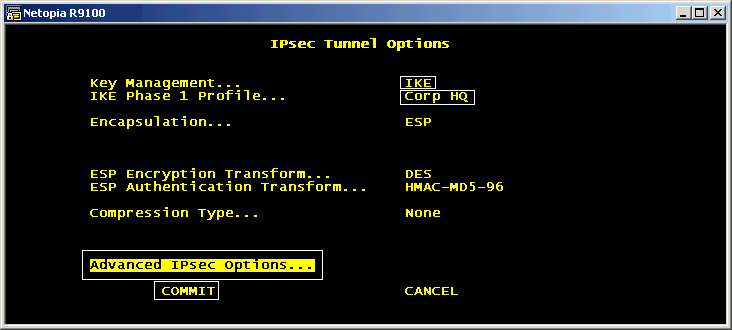 [Encapsulation Options]