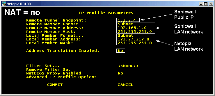 [IP Profile Parameters - NAT]