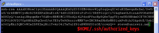 Paste the rsa public key to authorized_keys2